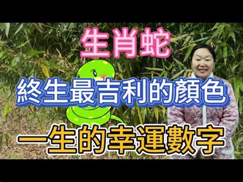 蛇 數字|【屬蛇幸運數字】絕不能錯過！屬蛇幸運數字出爐，通往財運和幸。